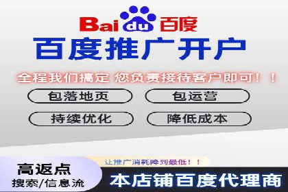 案例对比：关键词竞价排名的优劣